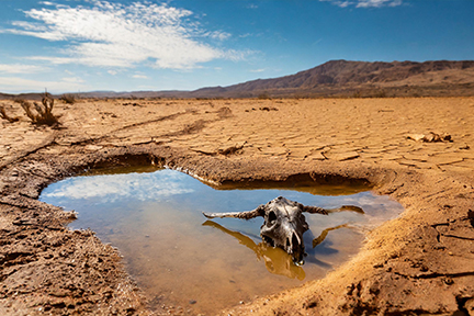 puddle of water in the desert